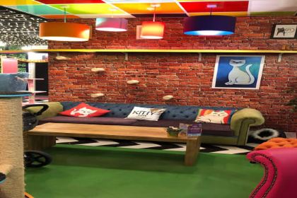 Kitty Café Birmingham