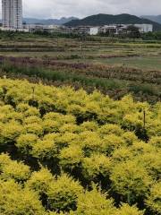 Hejing Gardening Lawn Base, Huishui County