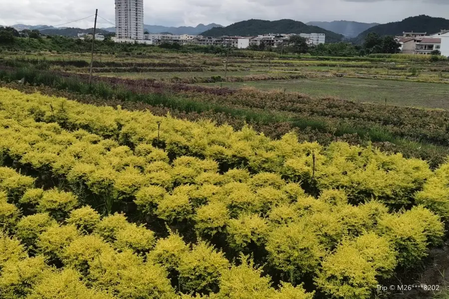 Hejing Gardening Lawn Base, Huishui County