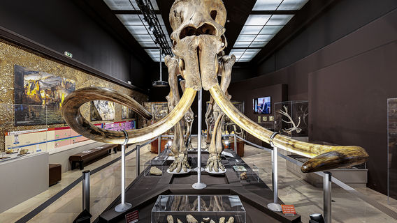 Monaco Museum of Prehistoric Anthropology