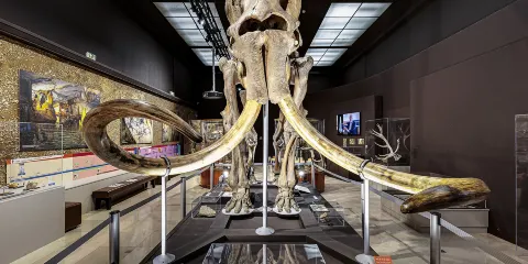史前人類歷史博物館