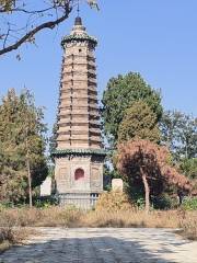 Yanzi Tower