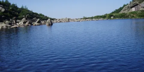 二爺海