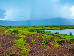 Lake Manyara National Park