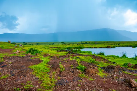 Parco nazionale del lago Manyara