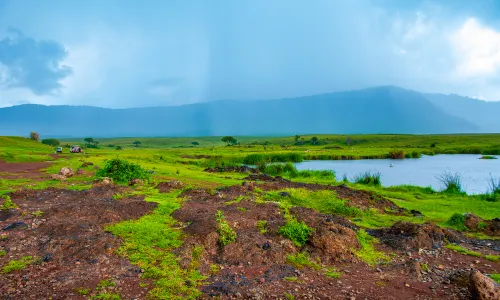 Lake Manyara National Park