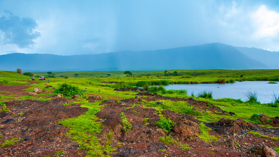 Lake Manyara National Park