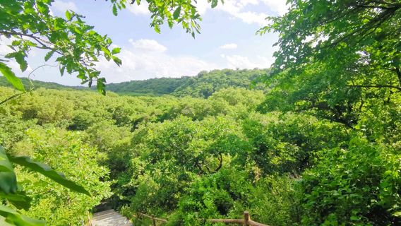 Daqinggou Nature Reserve