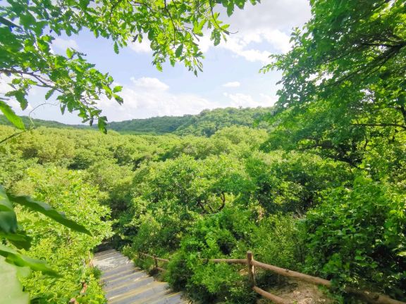 Daqinggou Nature Reserve