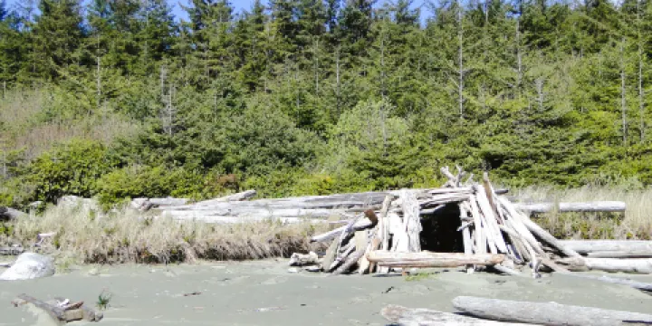 太平洋沿岸國家公園保留地