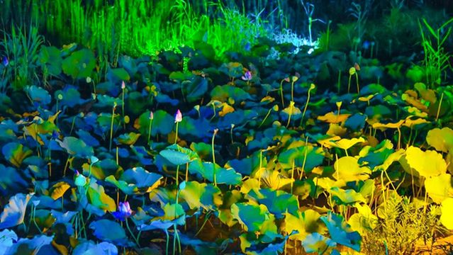 nian hua wan chan xing biao yan