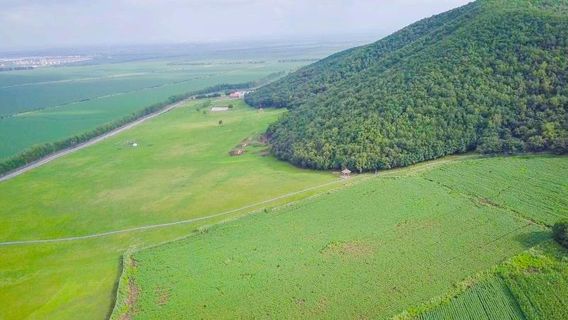 Wohu Mountain Sceneic Area