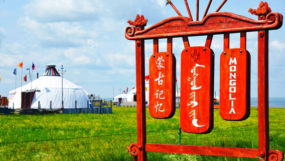 Tiemu Zhenda Hanhangying