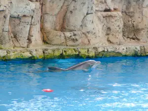 Texas State Aquarium
