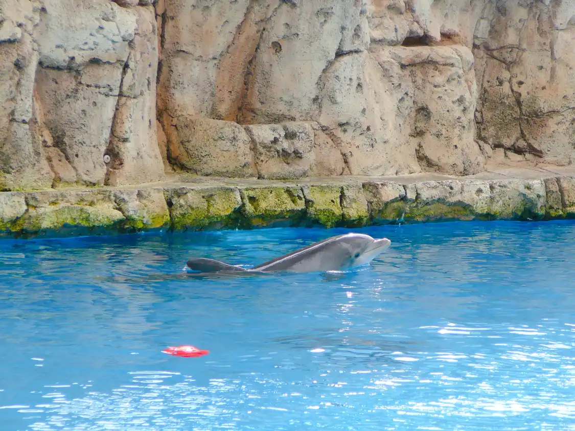 Hotels near Texas State Aquarium