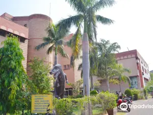 Jhansi Govt Museum