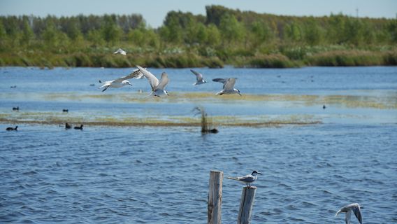 Qianhe Island Tourist Scenic Area