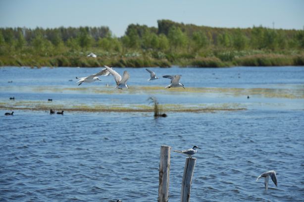 Qianhe Island Tourist Scenic Area