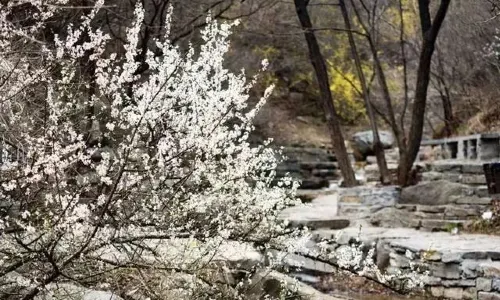 แม่น้ําฮวงไห่