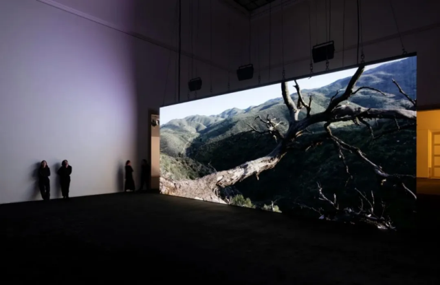 Philippe Parreno: Voices | House of Art
