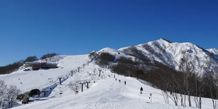 Hakuba Goryu Snow Resort image 2