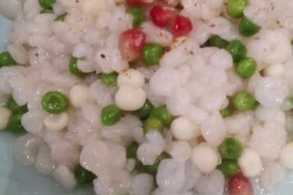 YANG ZHOU SHI ZI LOU HE YUAN DIAN