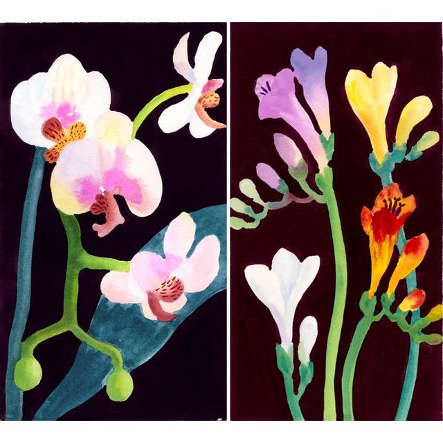 Nerys Johnson: Disability and Practice | Laing Art Gallery