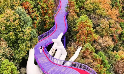 천자지 산약테마공원