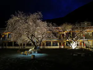 Popular Night Attractions in Mainling