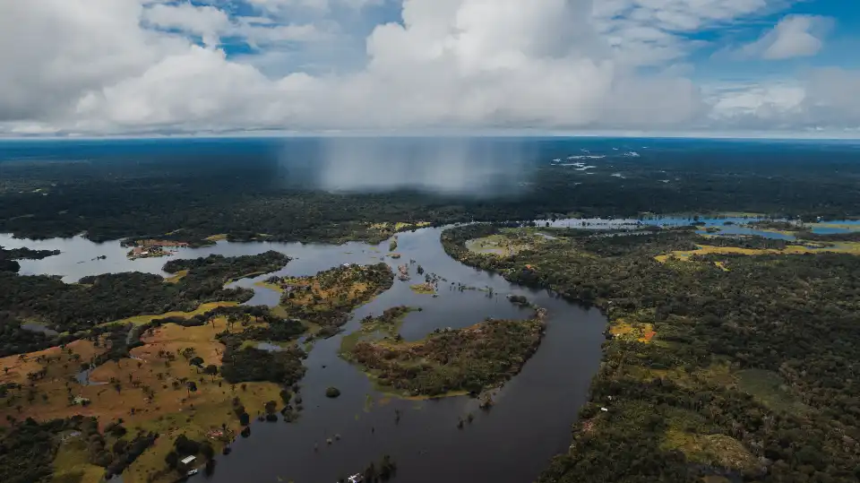 4_Amazon Rainforest