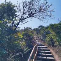 耗體力之行：大埔頭去流水響