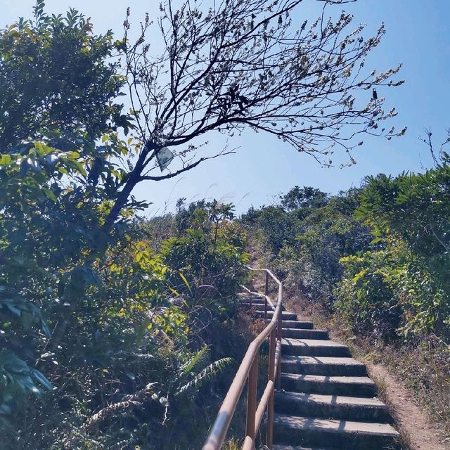 耗體力之行：大埔頭去流水響