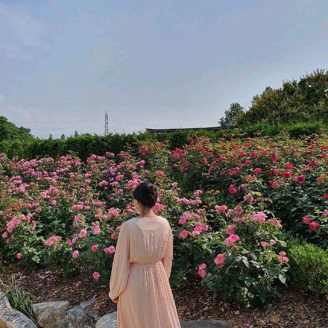 예쁜 꽃들이 기다리고 있는 곳