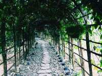 Back to nature