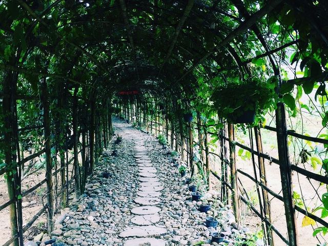 Back to nature