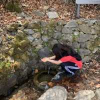 방탄소년단이 사랑한 검단산 ..
