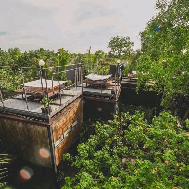 Bangkok Tree House