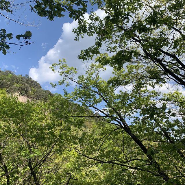 중급인듯 고급코스 도봉산