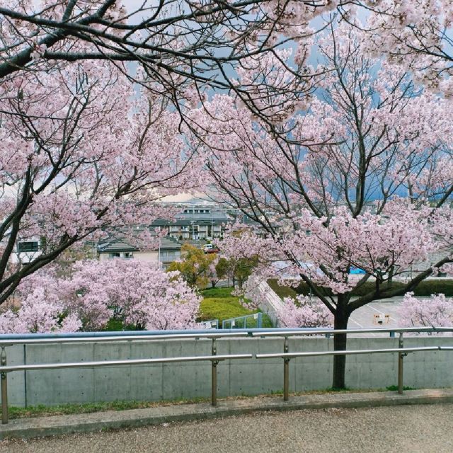 Sayamaeki museum