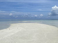 Let’s Island Hopping