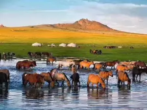 Hulunbuir Grasslands