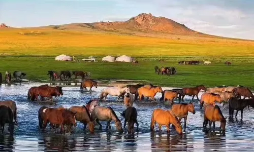 Hulunbuir Grasslands