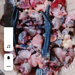 江尾田园火秋鱼 User Photo