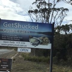 Get Shucked Oyster User Photo