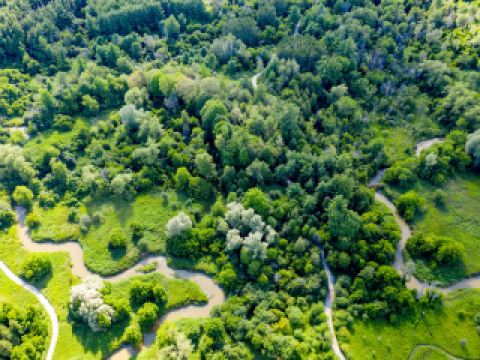 大餘10大最佳酒店排名