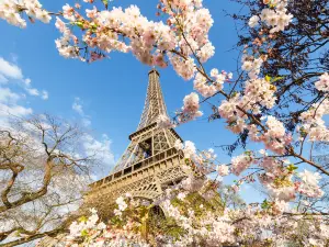 Popular Best Things to Do in Paris