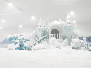 치디 홍싱 우저우 스노우 큐브 빙설 세계