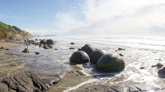 Moeraki Boulders Beach