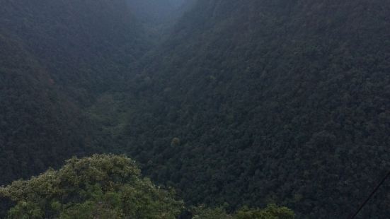 石上森林是貴州省荔波縣茂蘭喀斯特森林保護區內的主要景觀，保護