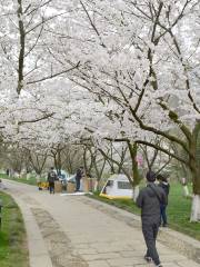 Jiufeng Mountain Wangao Scenic Area